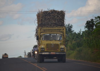 Busoga: Covid-19, the sugar barons & the bitter taste of cane