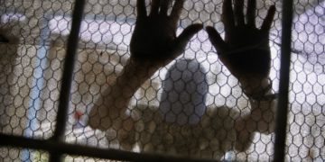 Covid-19 pandemic: Ugandans grapple to escape mental health bondage