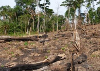 Where is Uganda’s climate cash going?