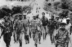 National Resistance Army