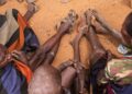 Community Leadership critical in Ending Hunger