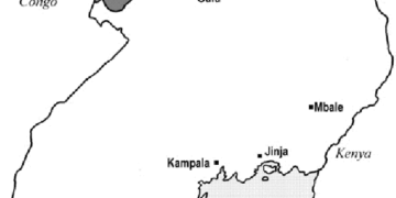 Ghost Pensioners; Moyo on the spotlight 