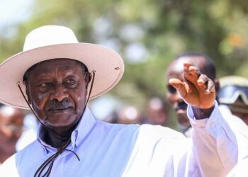 Cabinet reshuffle: President leaves nation guessing on succession